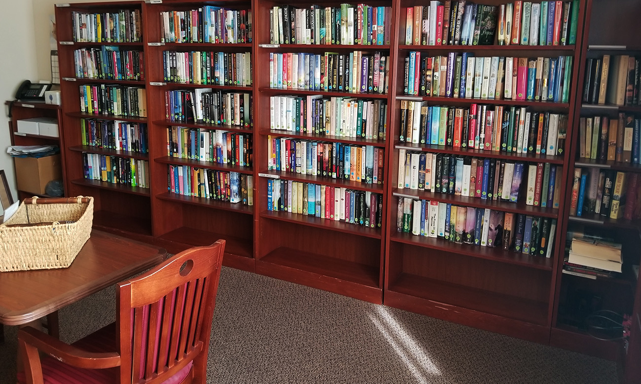 Photo of Miniature Library